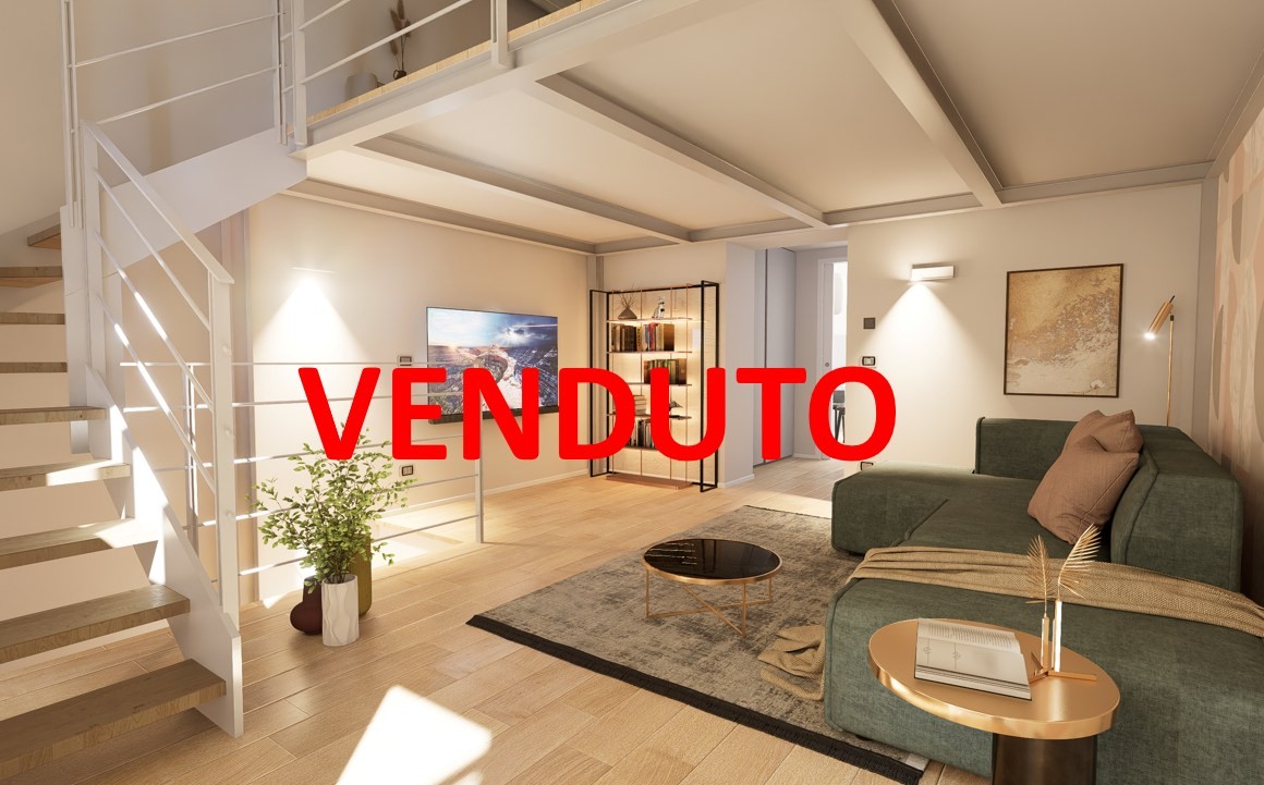 Ampio bilocale con taverna e cortile privato